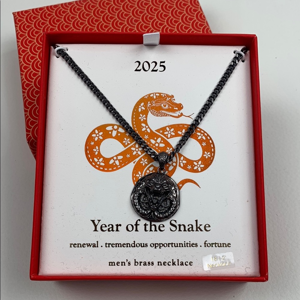 2025 Year of the Snake Necklace Mens brass chain pendant fortune Renewal NWT